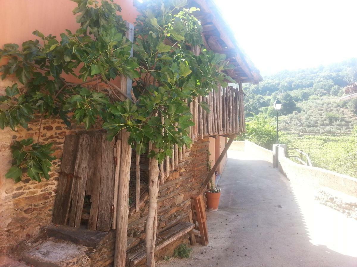 Sierra De Gata El Mirador De Robledillo Villa Robledillo De Gata Bagian luar foto